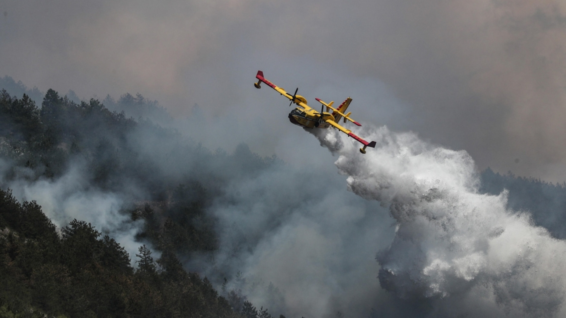 Immagine di Siccità e incendi d'inverno, il cambiamento è già qua