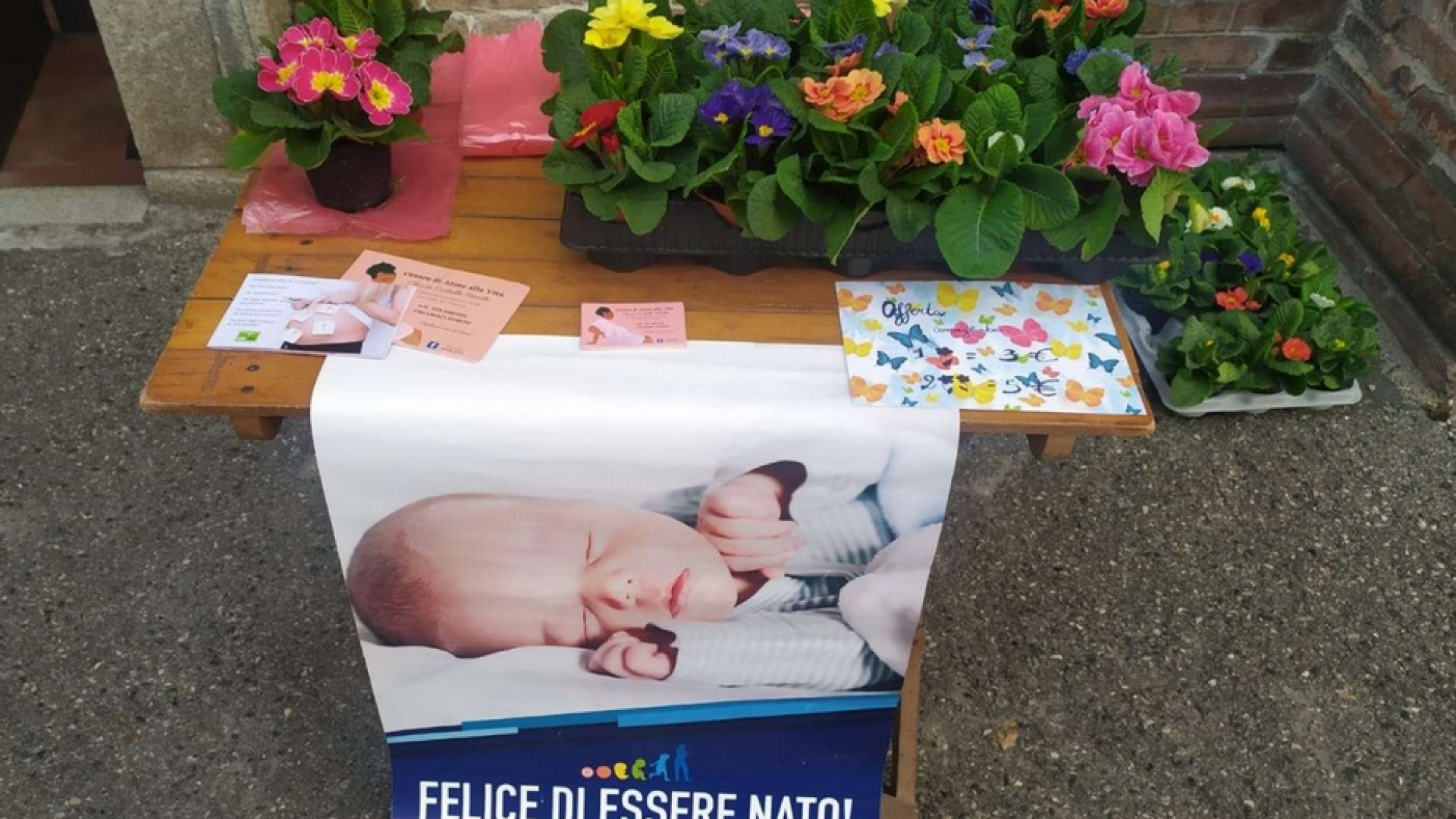 Immagine di Le Messe in diretta tv e social di domenica 6 febbraio 2022