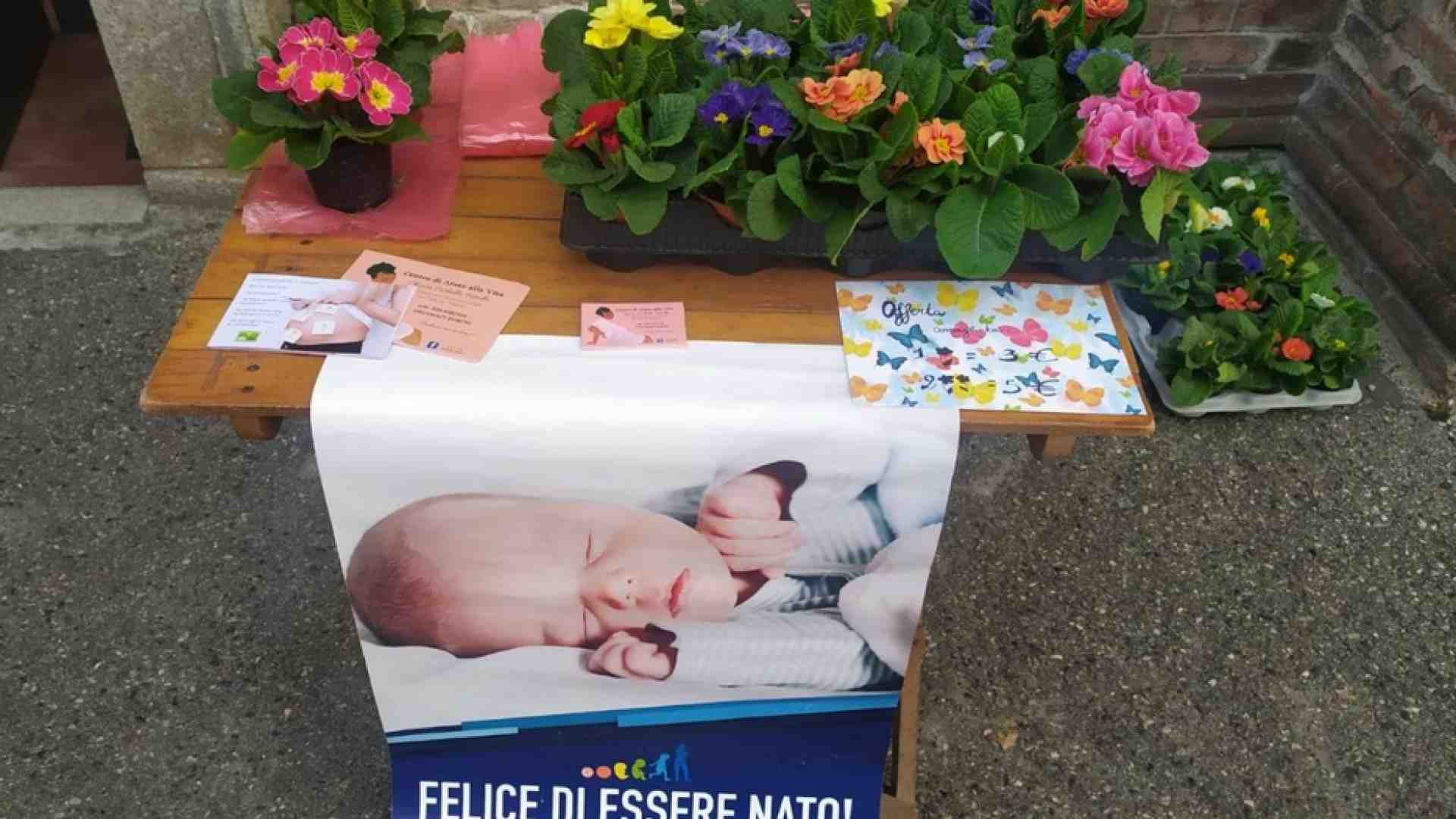 Immagine di Le Messe in diretta tv e social di domenica 6 febbraio 2022