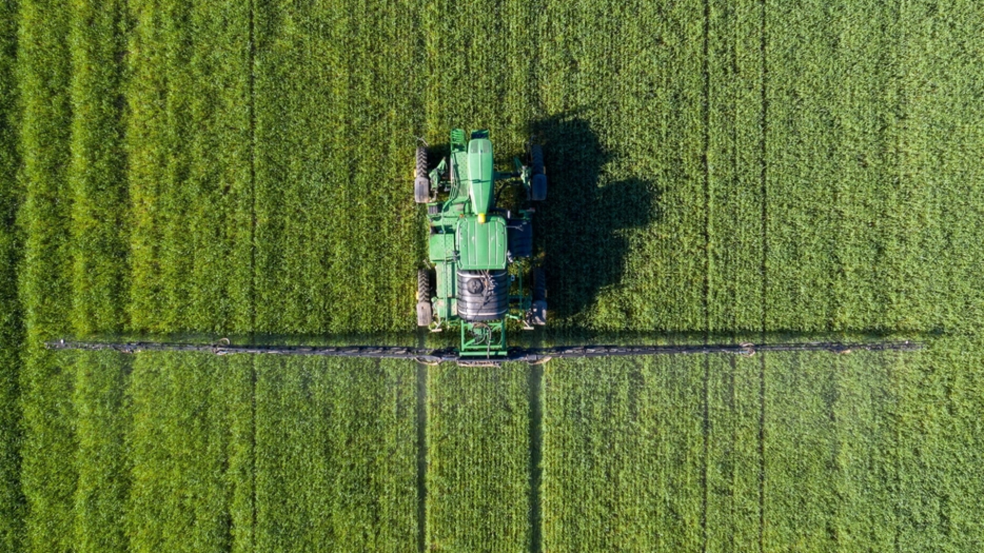 Immagine di La nuova politica agricola Ue vuole imprese più sostenibili