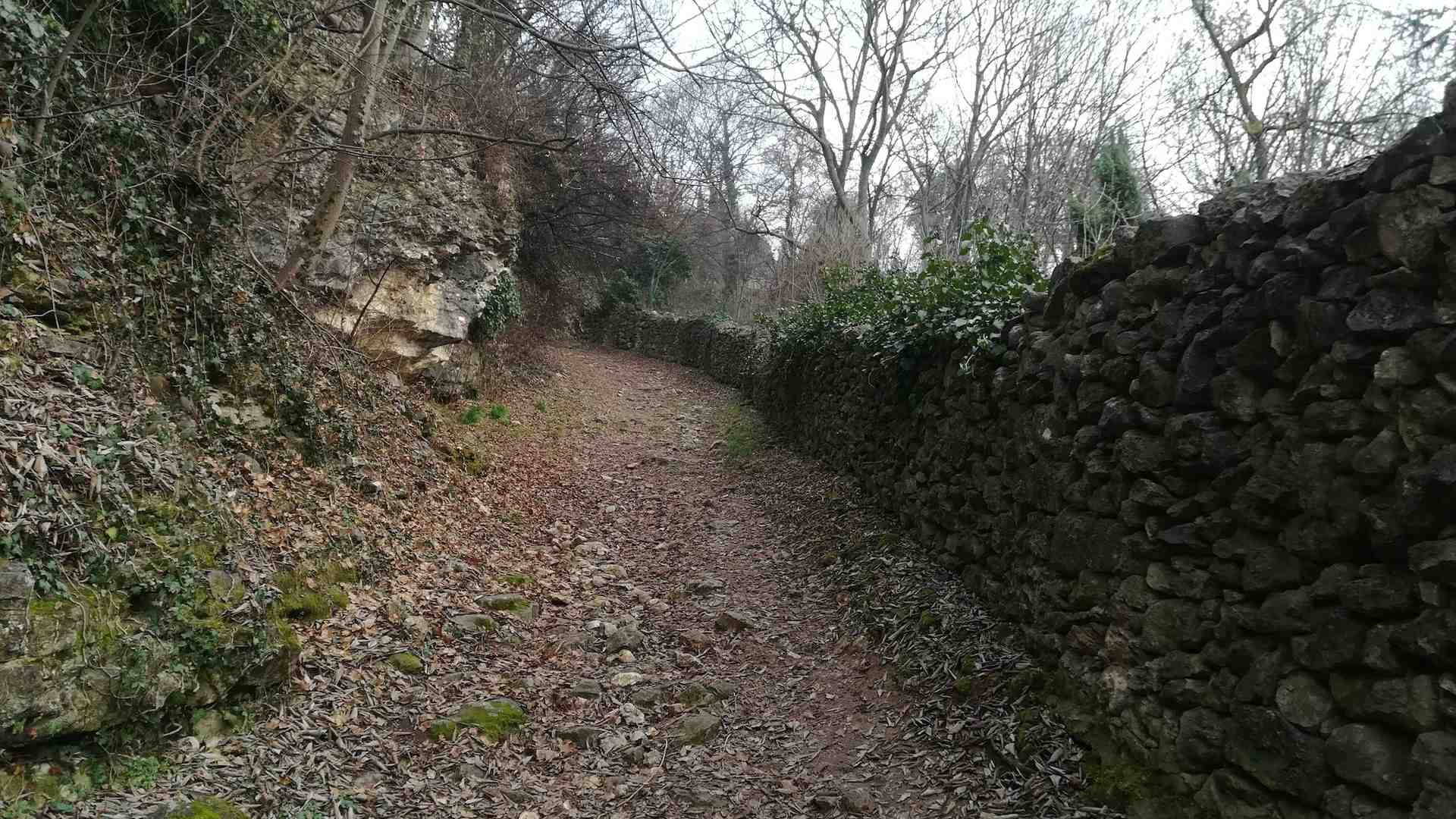 Immagine di Monte Tenda oasi di biodiversità da valorizzare