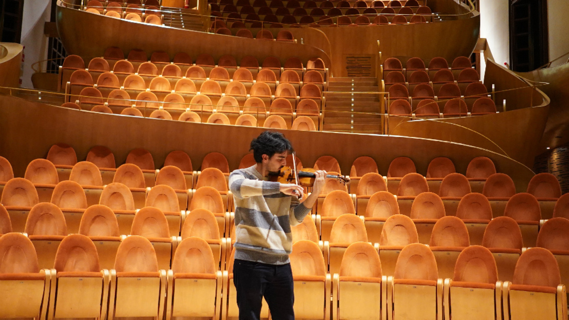 Immagine di Viaggio musicale con i “Guarneri”
