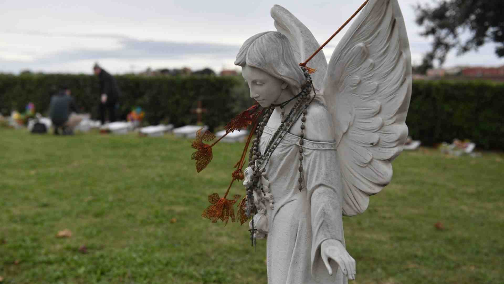 Immagine di Feti umani nei rifiuti, le associazioni per la vita: li seppelliamo noi