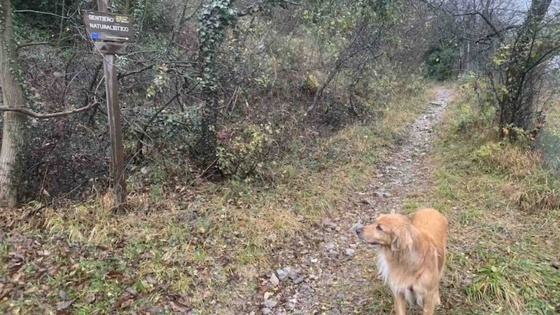 Immagine di Valdadige, a Canale si respira la storia