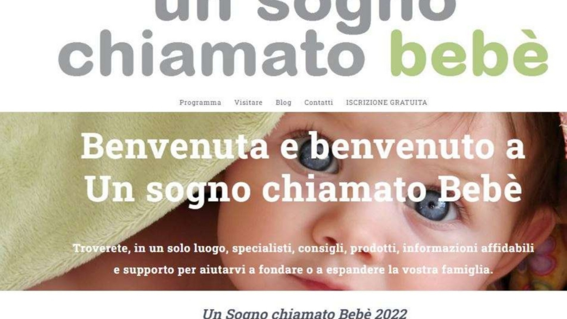 Immagine di La Rete femminista: no a una fiera per la maternità surrogata