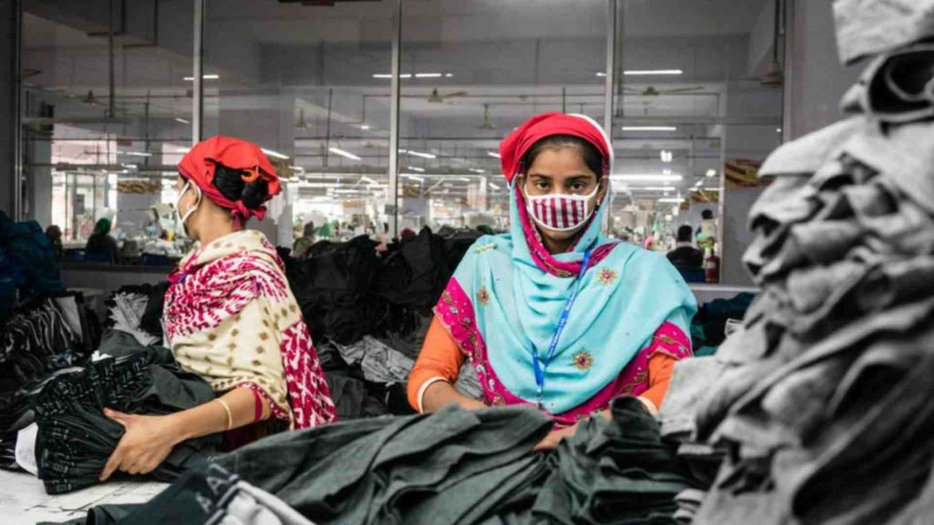 Immagine di Ong critiche sulla direttiva di sostenibilità aziendale della Commissione Eu