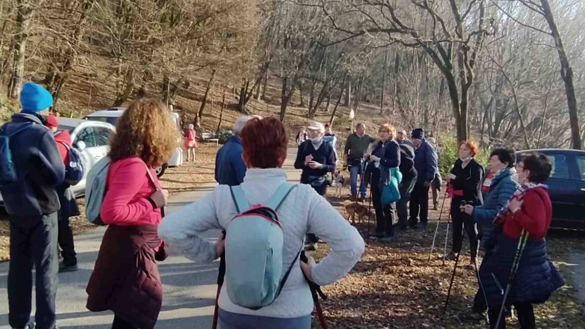 Immagine di Stare insieme, in amicizia, condividendo un cammino