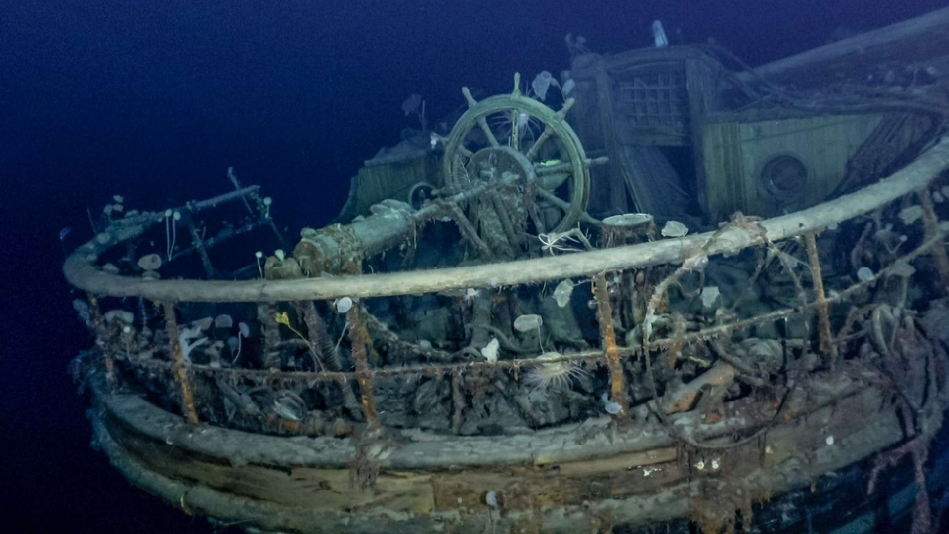 Immagine di Ritrovato intatto a 3mila metri di profondità il relitto dell'Endurance