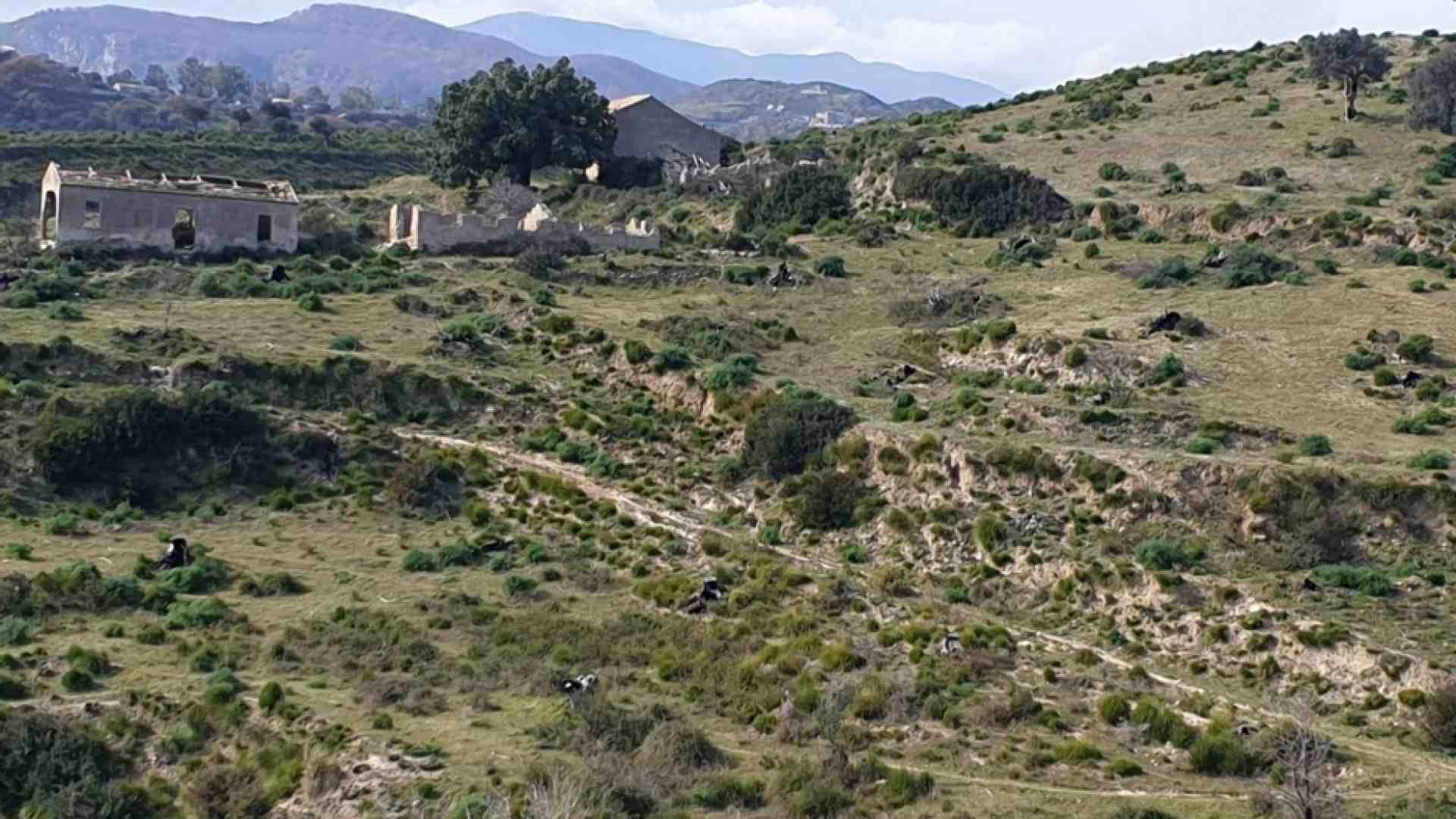 Immagine di Il Santuario di Polsi gestirà il terreno confiscato