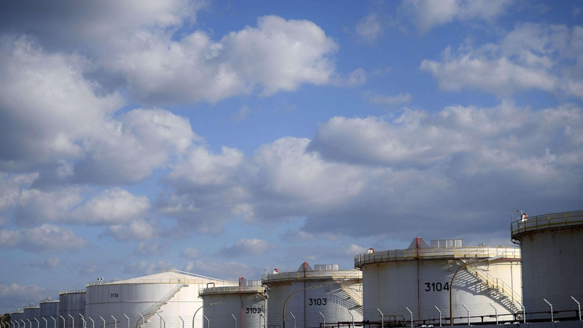 Immagine di Il governo; energia, un tetto ai prezzi. Cingolani: su aumenti colossale truffa