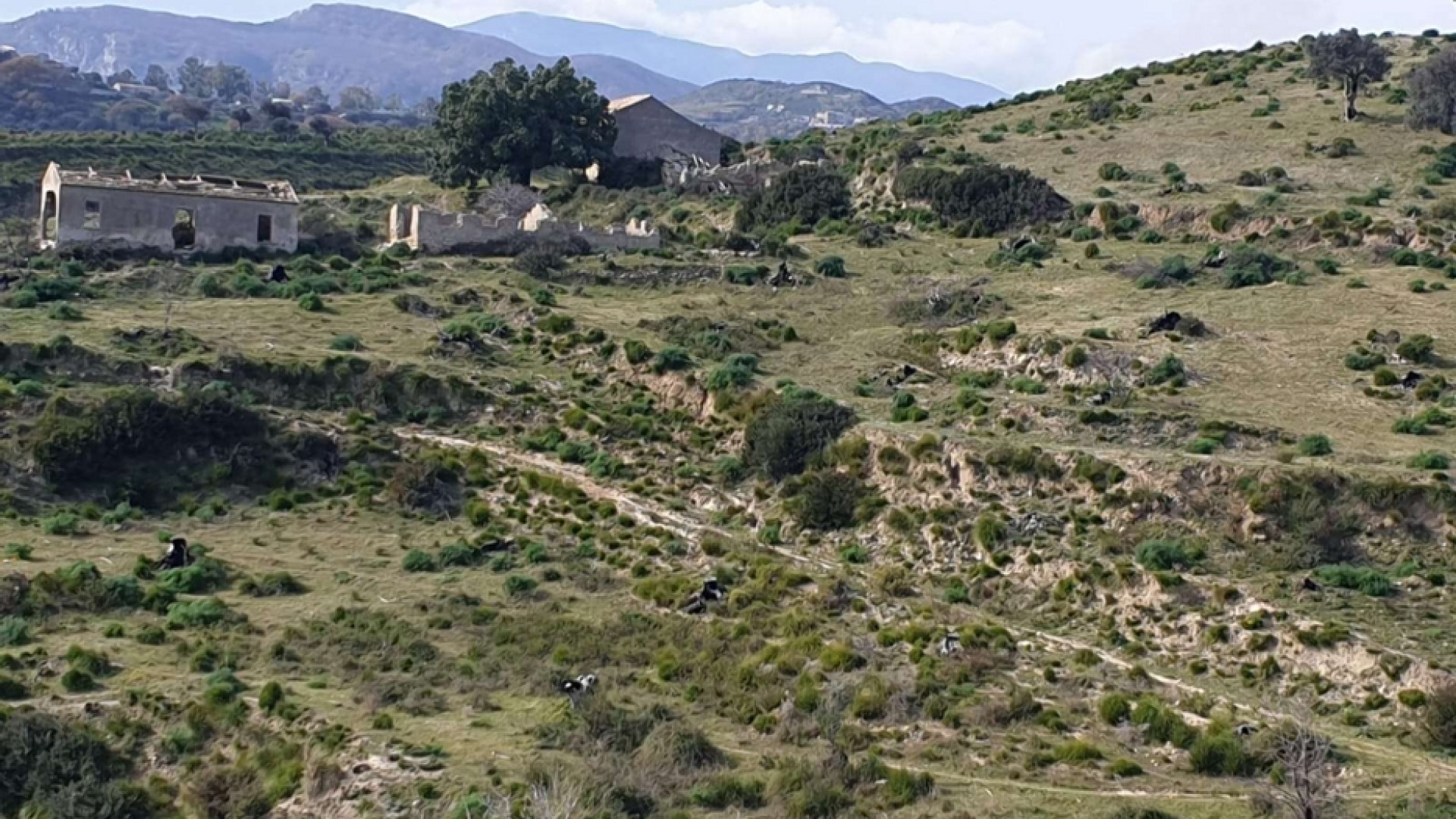 Immagine di Il Santuario di Polsi gestirà il terreno confiscato