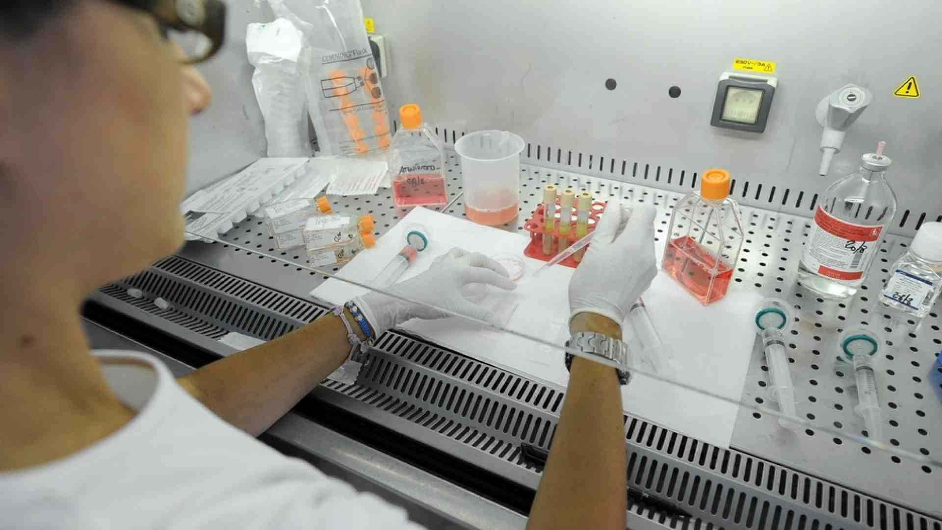 Immagine di Nel 2045 la fine della fertilità umana? Un allarme trascurato
