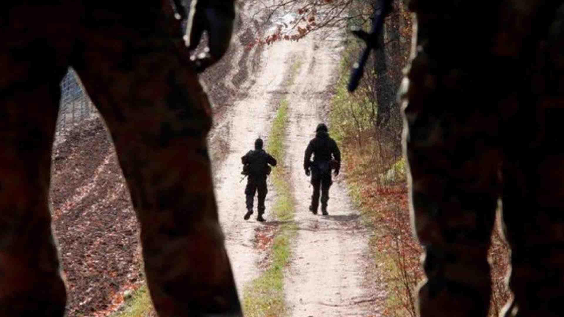 Immagine di La guerra dei brand