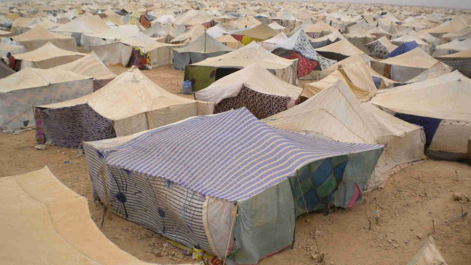 Immagine di La Spagna scarica il popolo saharawi e trova un'intesa con il Marocco