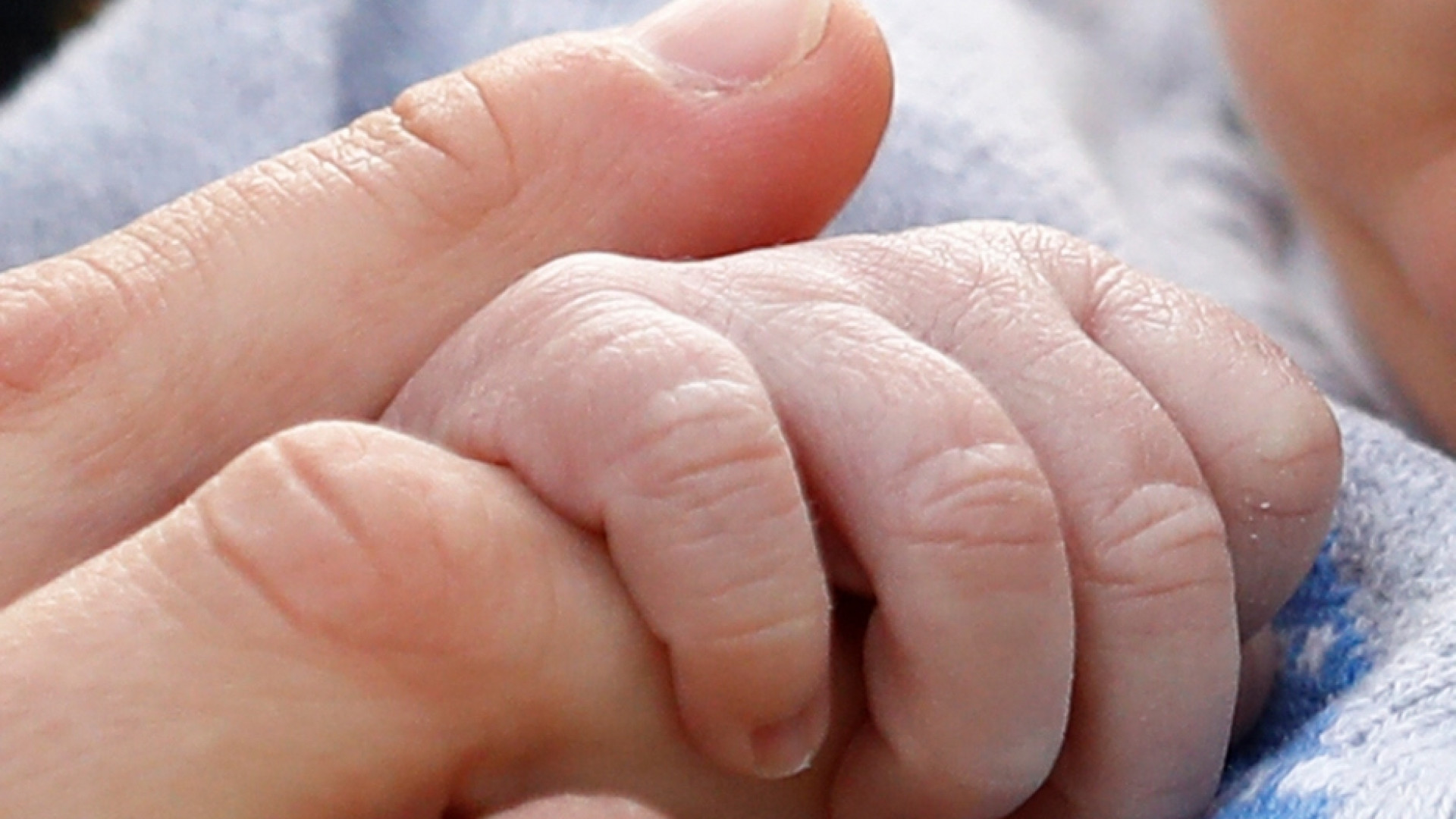Immagine di Accogliamo la Vita nascente. Ora più che mai