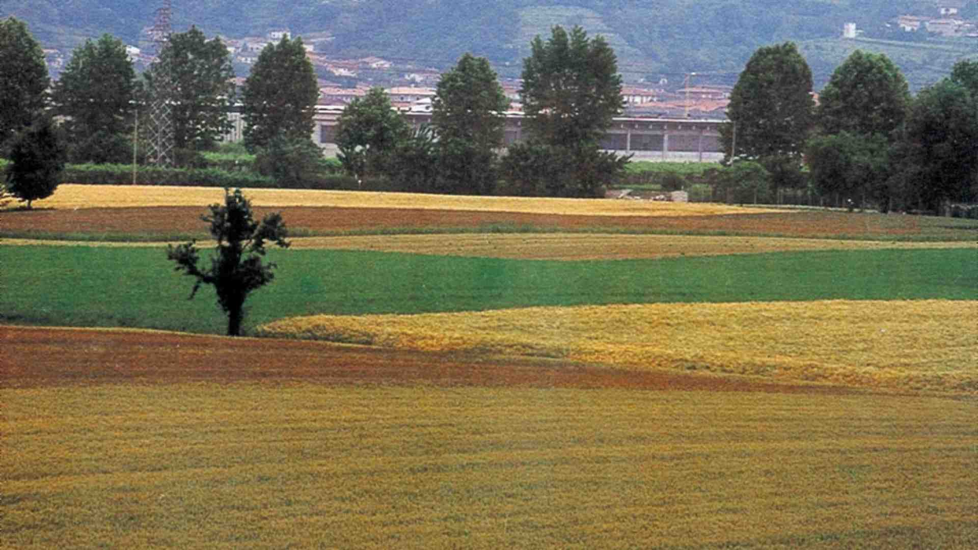 Immagine di La guerra in Ucraina è diventata crisi umanitaria e alimentare