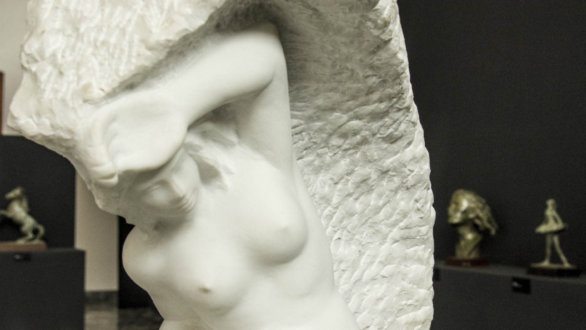 Immagine di «Nella sua arte, le tragedie di un secolo e i suoi tormenti»