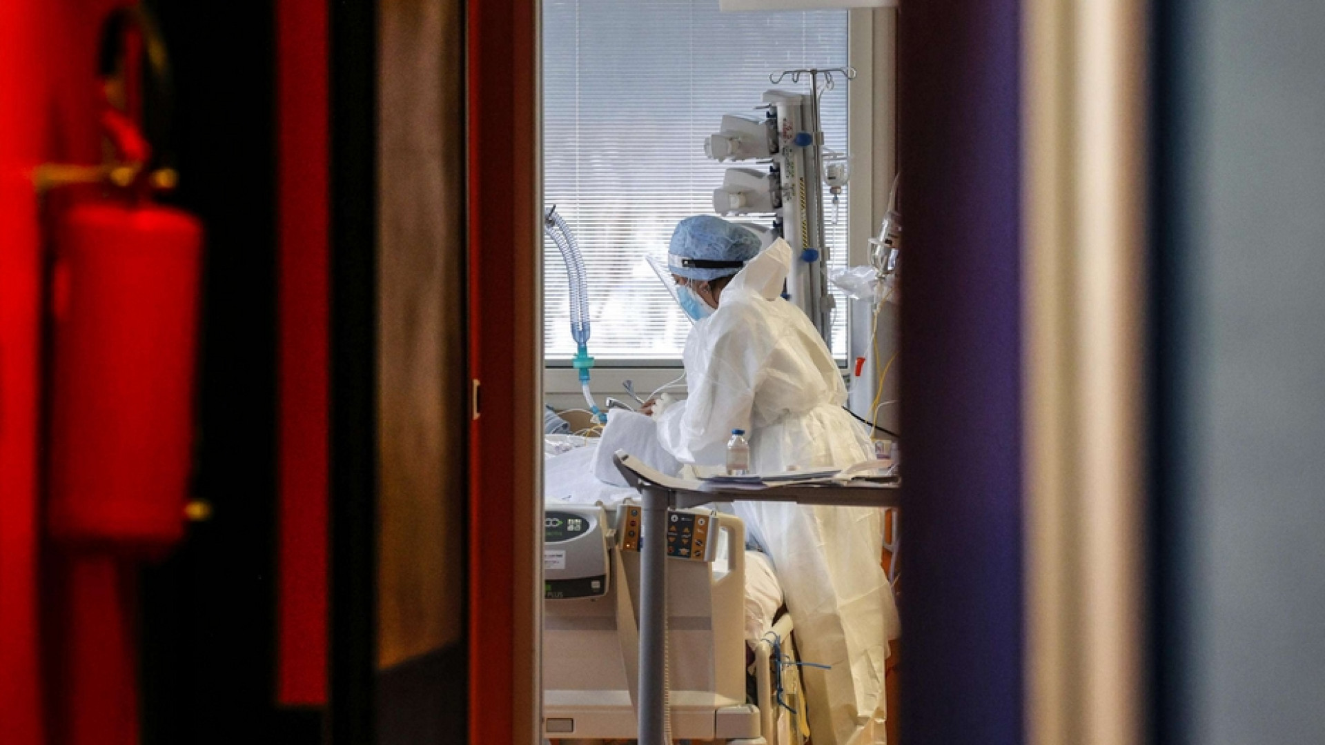 Immagine di Covid: anziani e fragili abbandonati, le verità scomode sulla Svezia