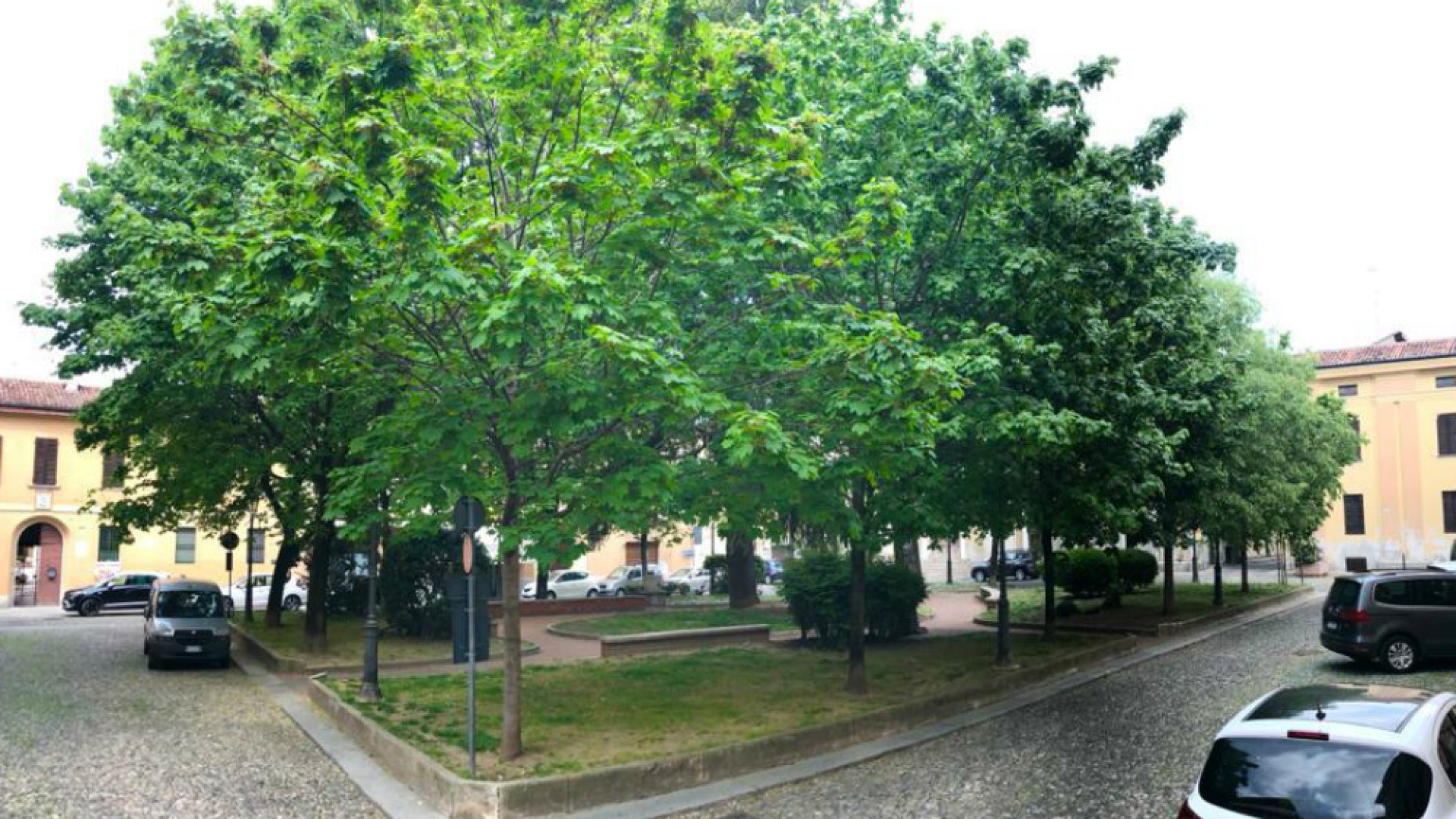 Immagine di Più agronomi esperti