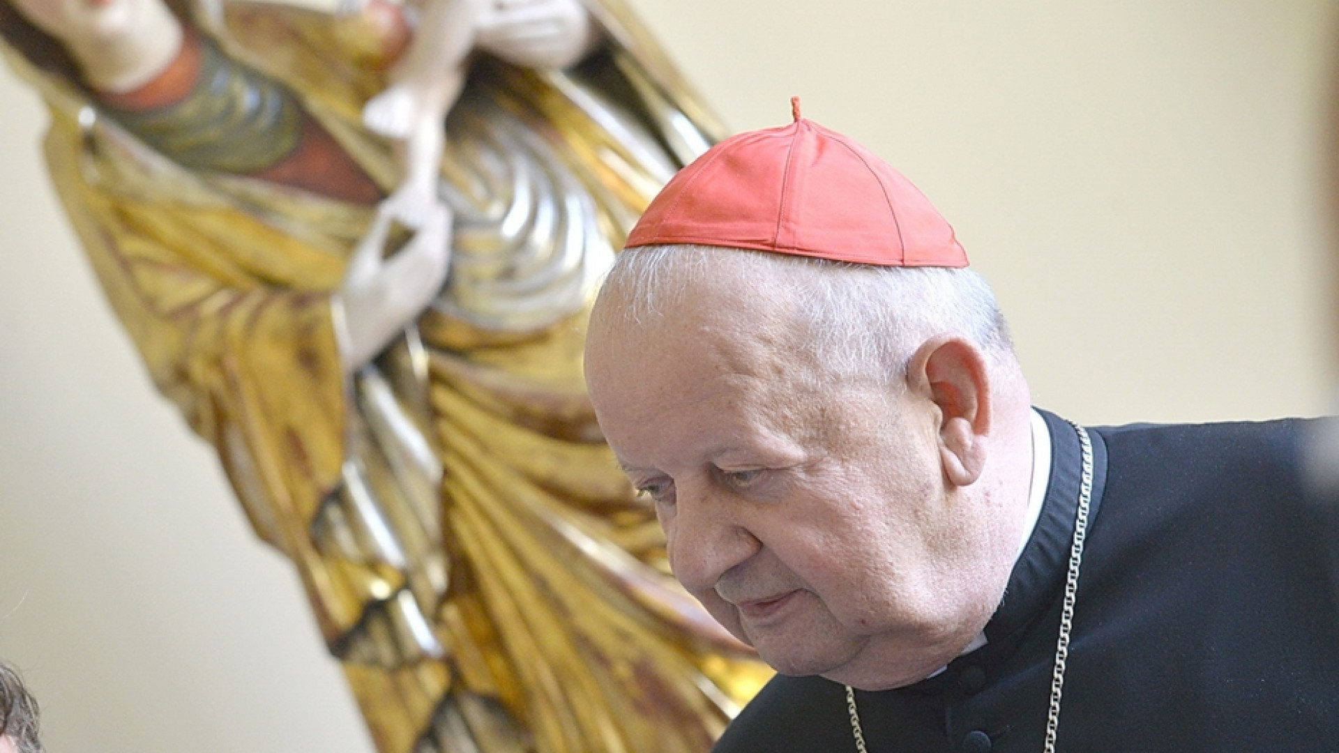 Immagine di Il cardinale Dziwisz prosciolto dalle accuse