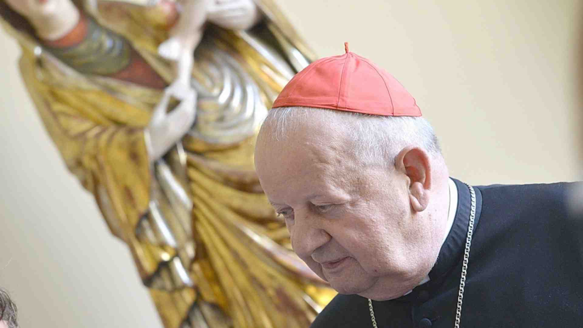 Immagine di Il cardinale Dziwisz prosciolto dalle accuse