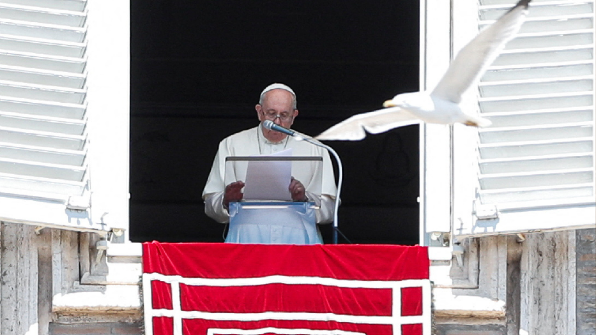 Immagine di Un nuovo appello del Papa per la pace in Ucraina