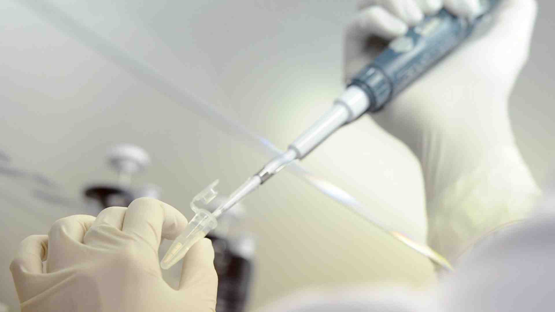 Immagine di D’Agostino: la persona è la chiave per una bioetica della tecno-scienza