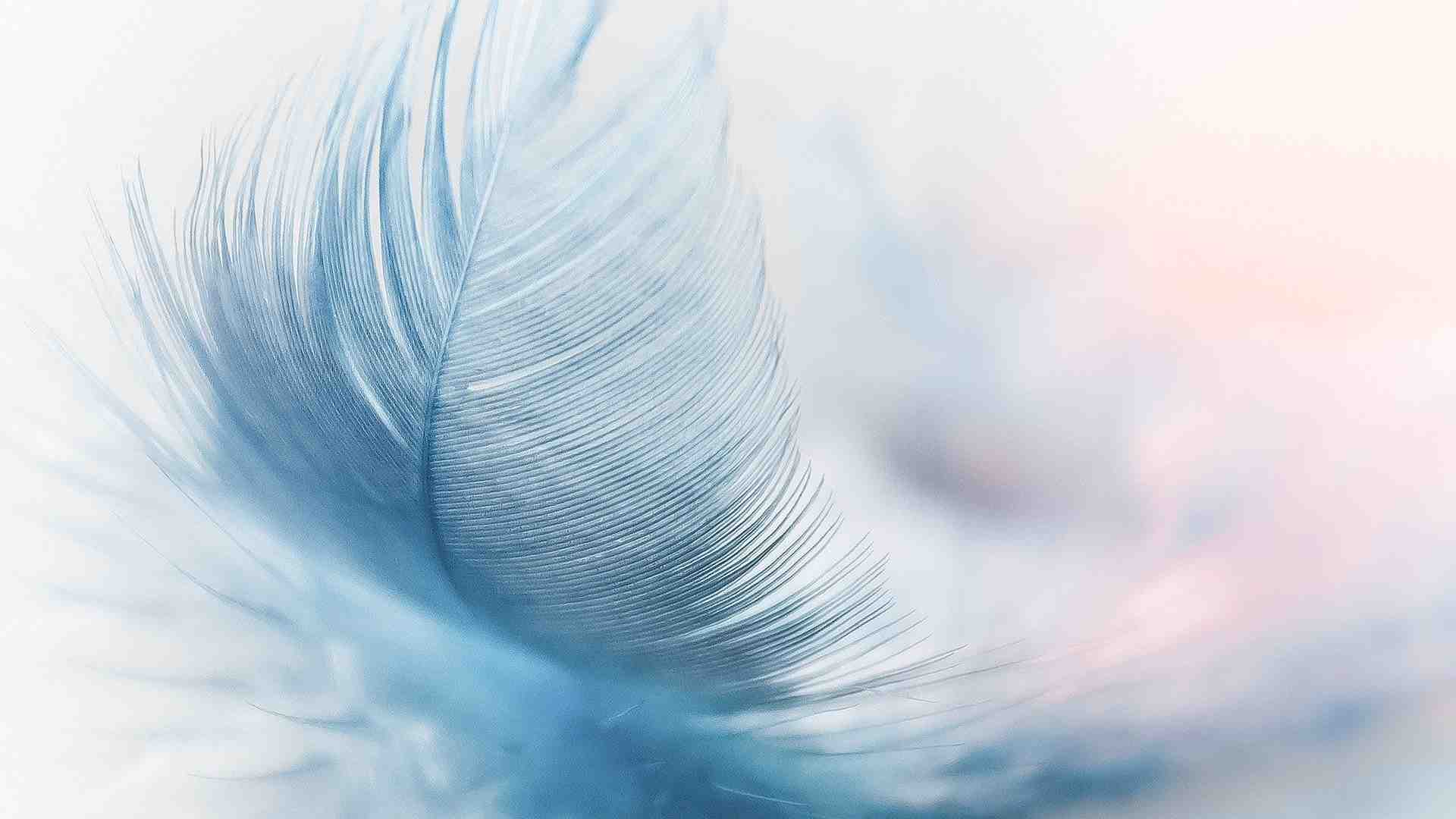 Immagine di Di chi è la mia vita? Dialogo sul “testamento biologico” e i diritti del “fine vita”
