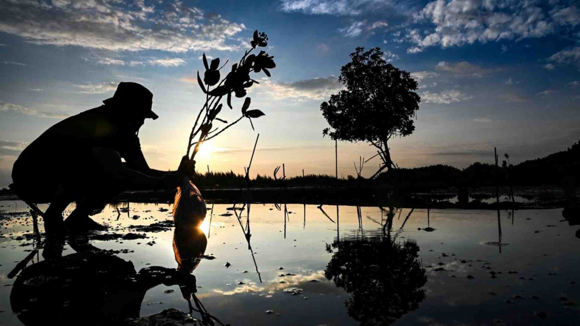 Immagine di Il ritorno del «Club di Roma»: si fermi lo sterminio del futuro