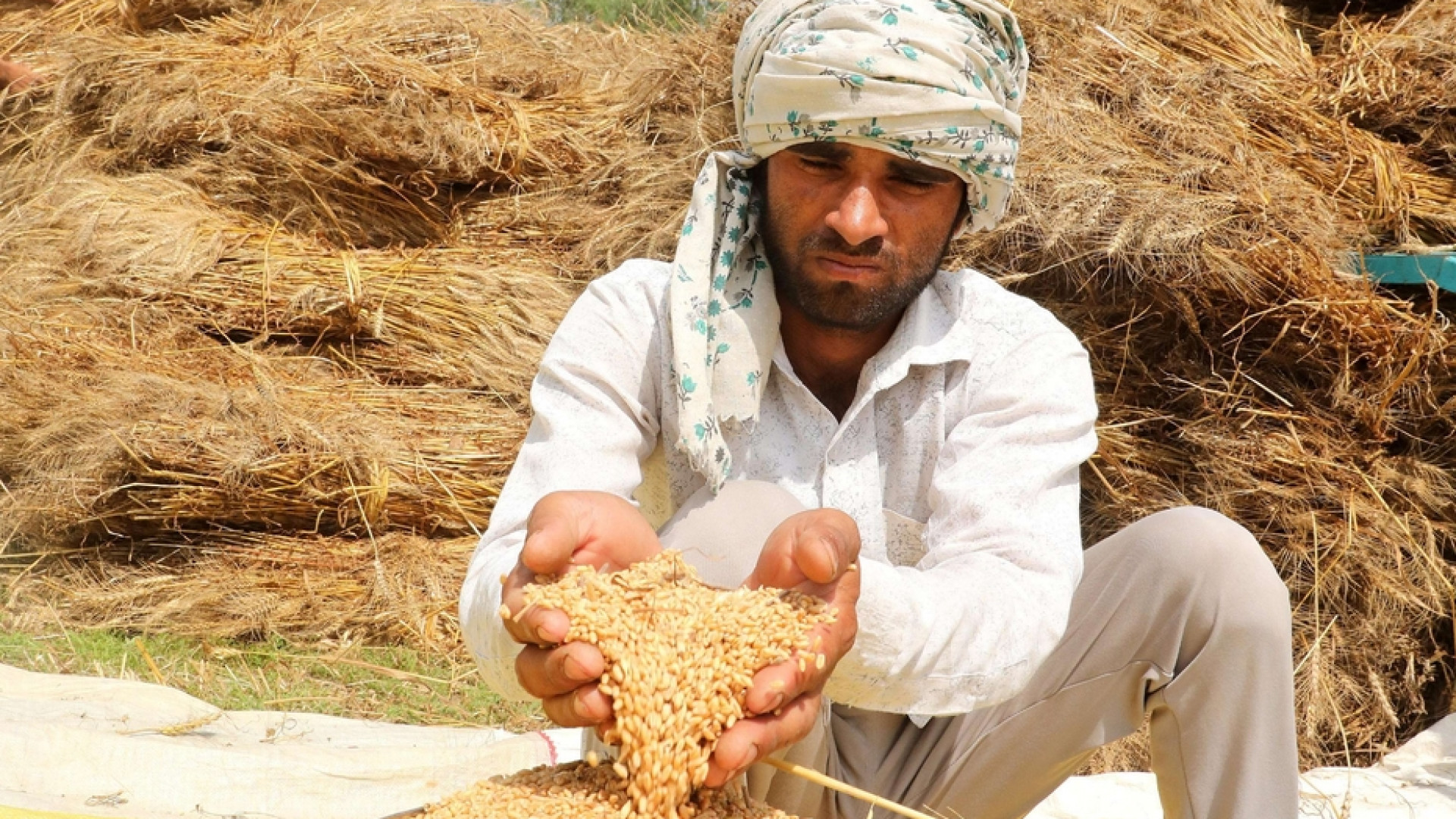 Immagine di L'India ferma l'export di grano. È sempre più guerra del cibo