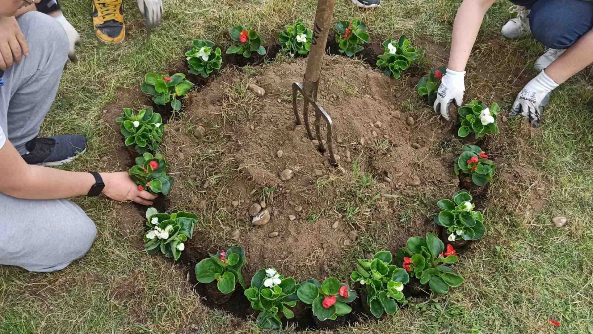 Immagine di Borgo Nuovo, il giardinaggio è momento di socialità