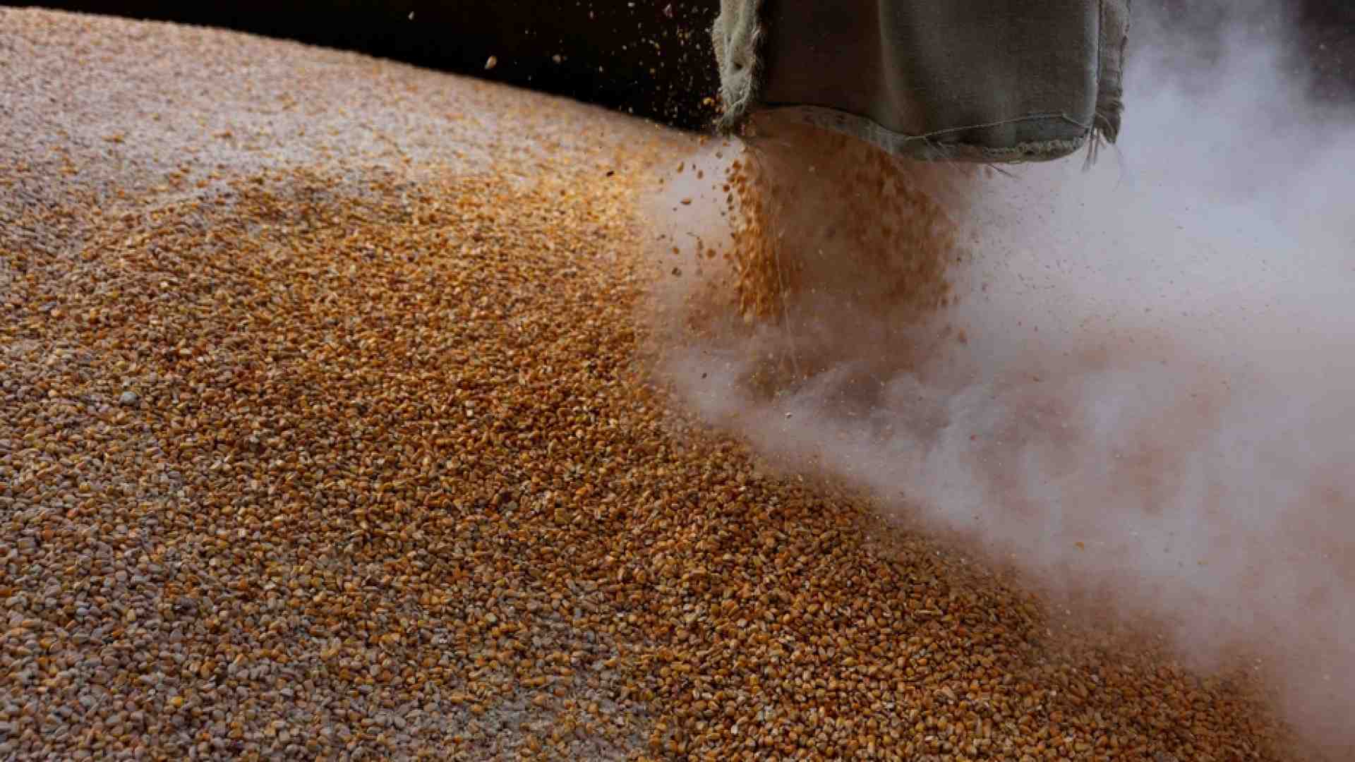 Immagine di Chi tiene in ostaggio i cereali ucraini e perché non salpano navi da Odessa