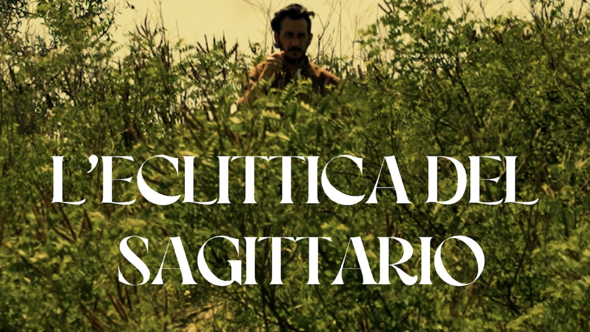 Immagine di «17, la Natura e il Sagittario» Idea vincente