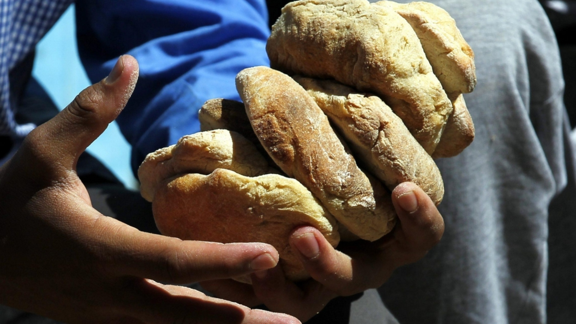 Immagine di Giornata del Creato, la Cei: torniamo al gusto del pane