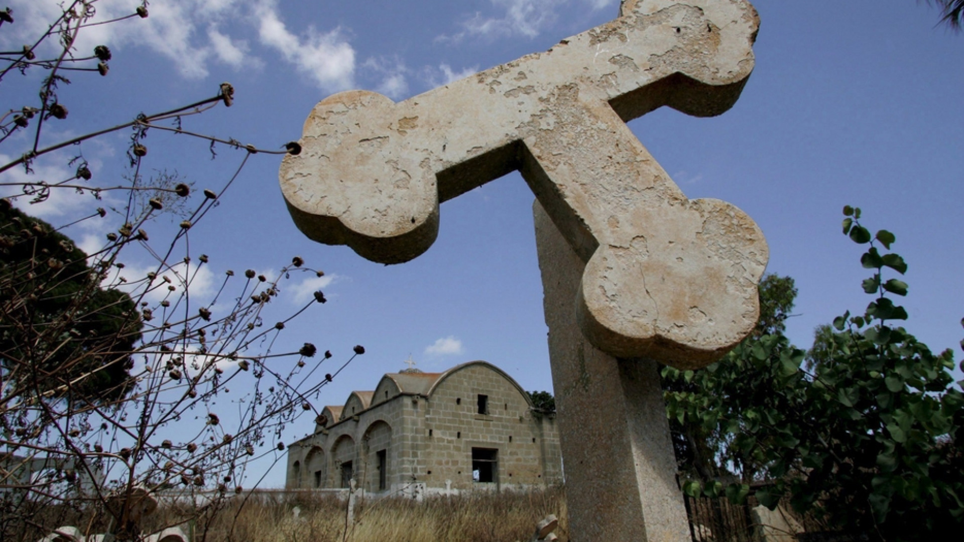 Immagine di Il muro di Cipro che non riesce a cadere 50 anni dopo l'invasione turca