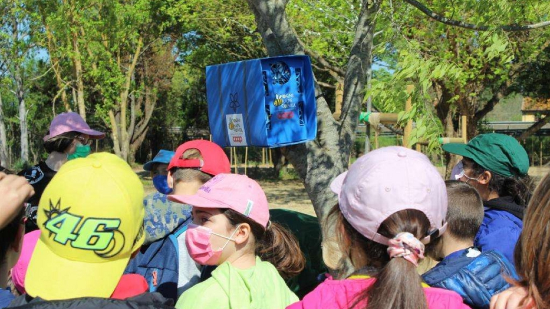 Immagine di In Val D'Arno il primo bosco realizzato con il crowdfunding