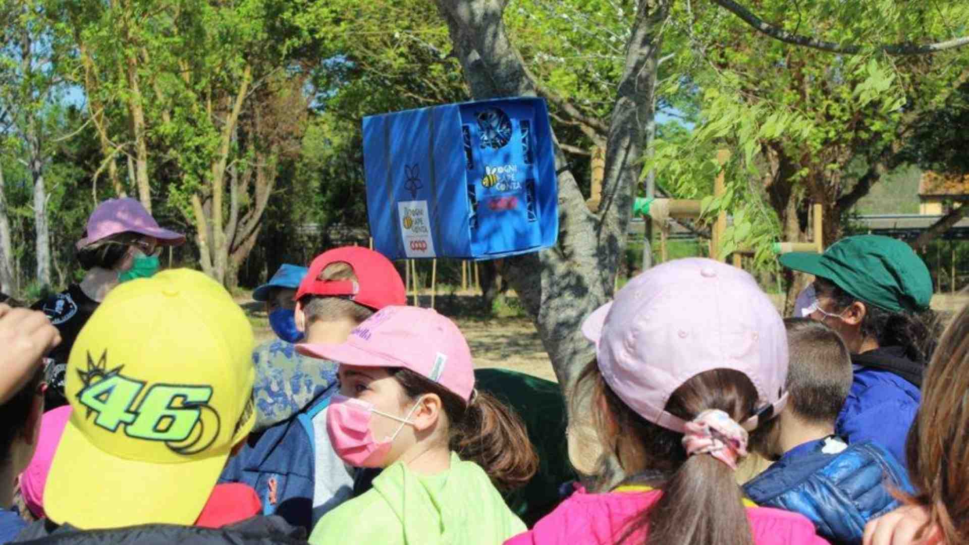 Immagine di In Val D'Arno il primo bosco realizzato con il crowdfunding