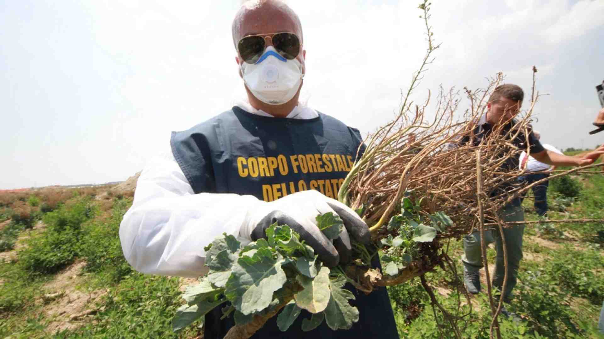 Immagine di L’invito della Cei: contro le agromafie sosteniamo chi opera nella legalità