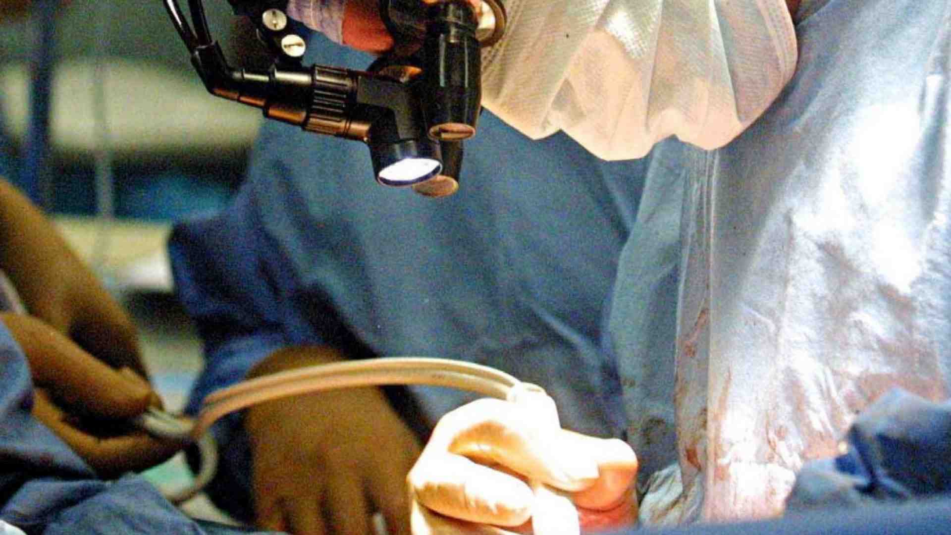 Immagine di Ora organi e tessuti si stampano in 3D