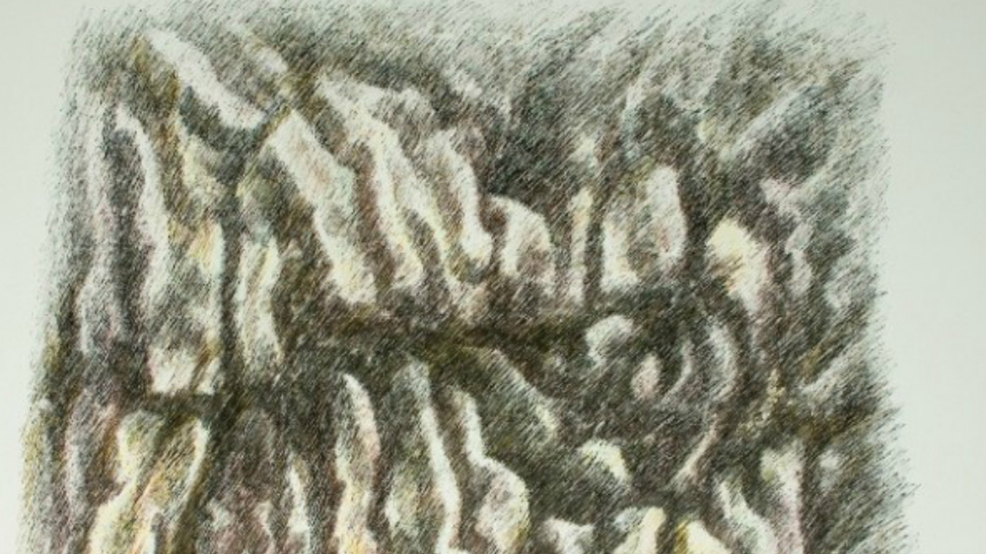 Immagine di Natura, sentimenti, energia primordiale: intrecci dell’essere