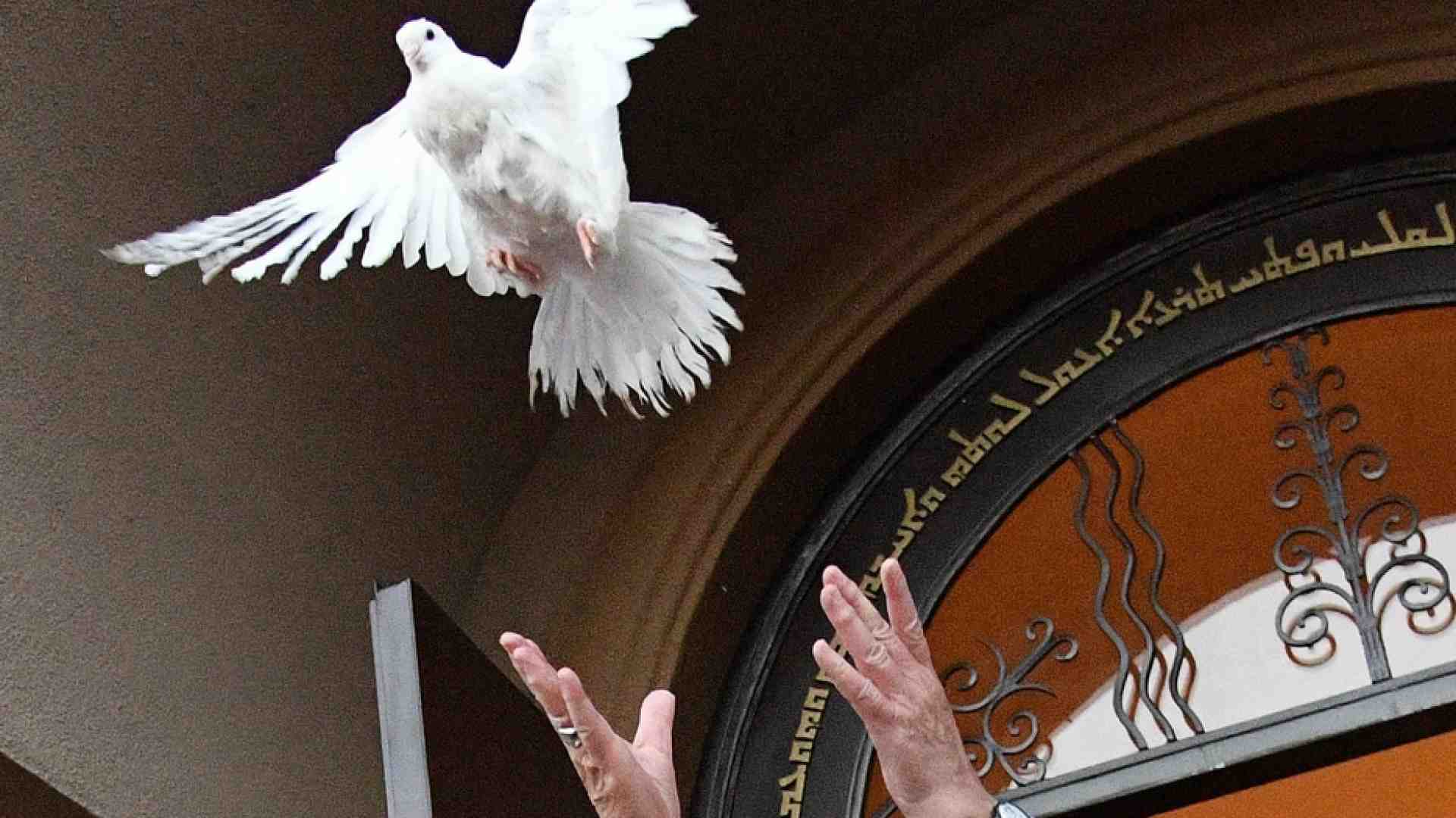 Immagine di La Giornata per la carità del Papa, segno di pace