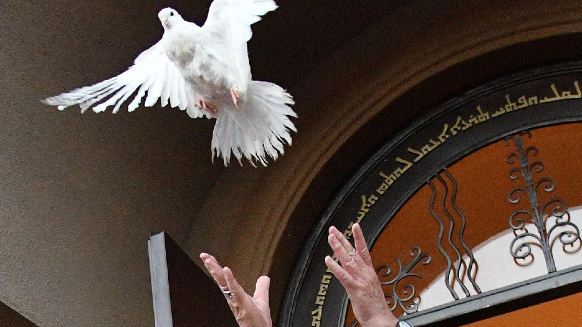 Immagine di La Giornata per la carità del Papa, segno di pace