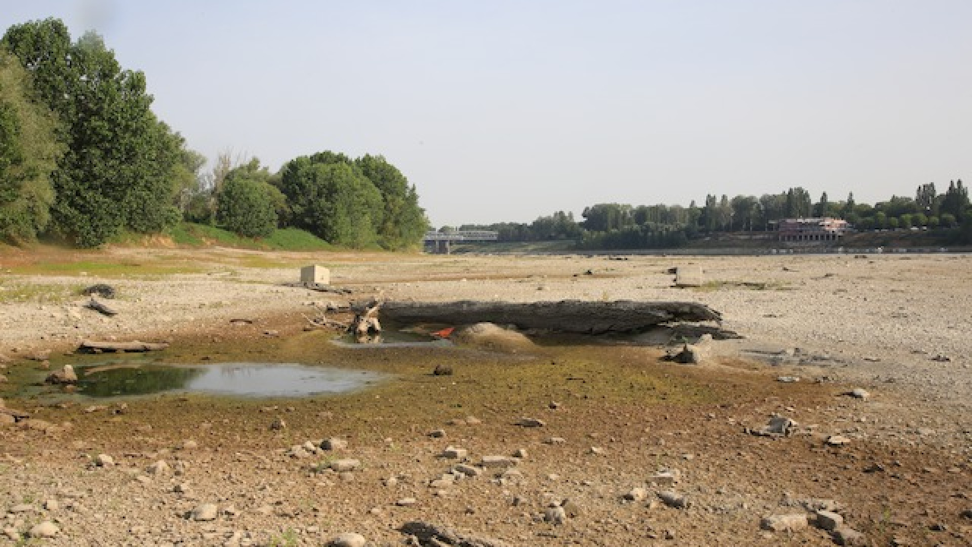 Immagine di Nonostante il grave deficit di portata del Po, continua incessante il prelievo delle idrovore, con il rischio di creare gravissimi danni all'ecosistema del fiume