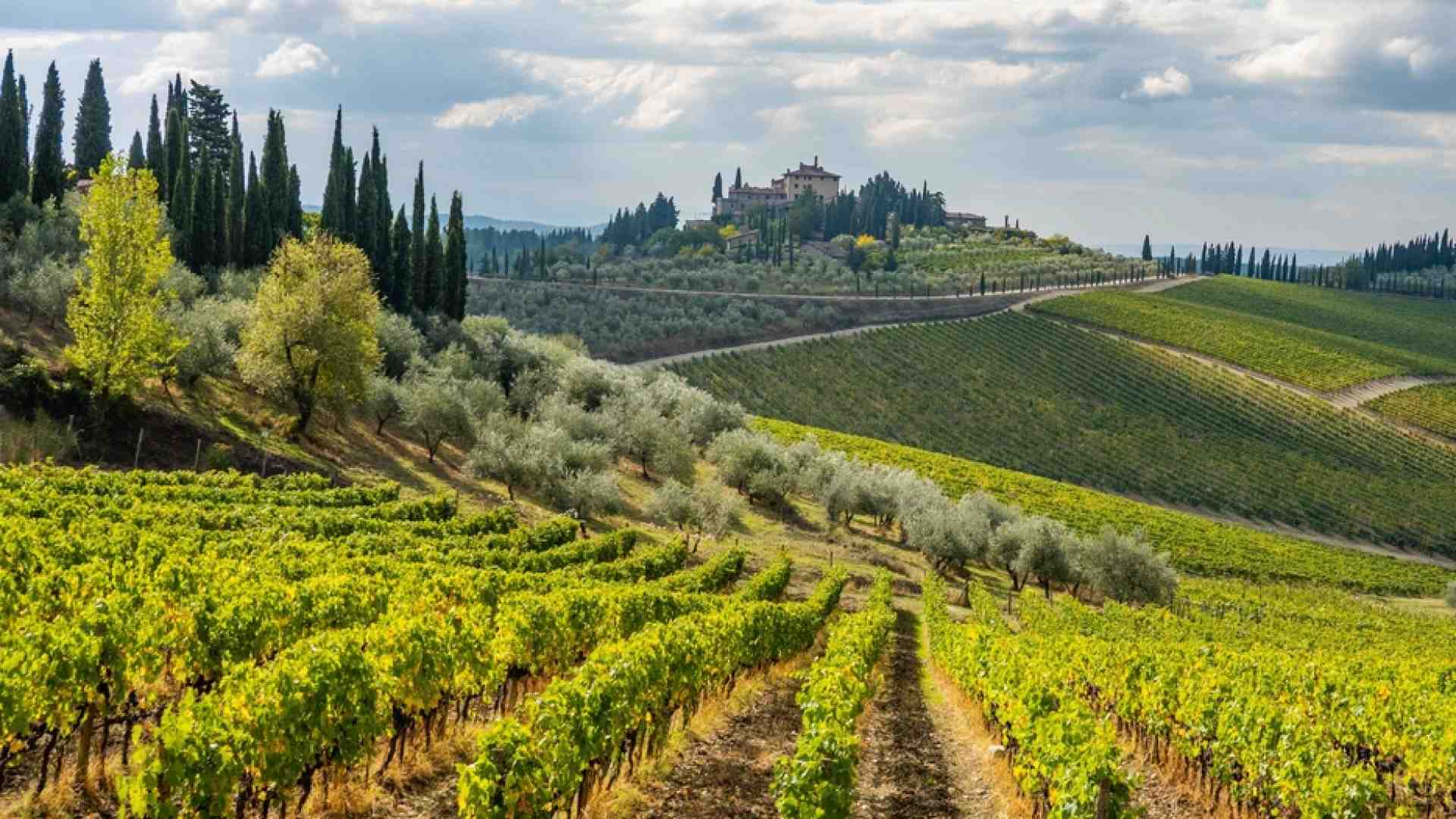 Immagine di La spiazzante bellezza del paesaggio italiano