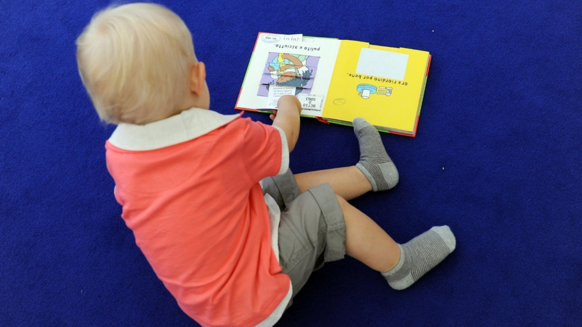 Immagine di Letture 0-5 anni: i 10 libri da mettere in valigia per l'estate