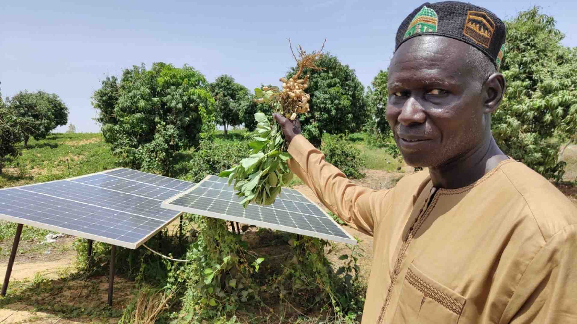 Immagine di Senegal, investire nell'agricoltura per non continuare a scappare