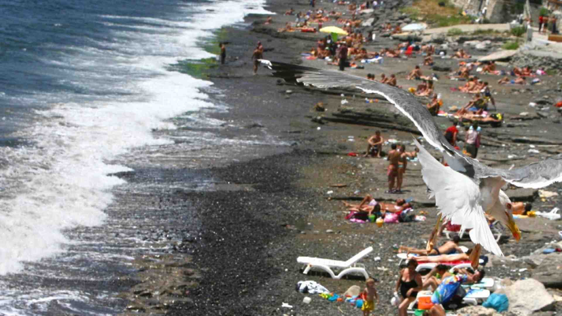 Immagine di Bellezza e ricchezza per tutti: proteggiamo le nostre spiagge