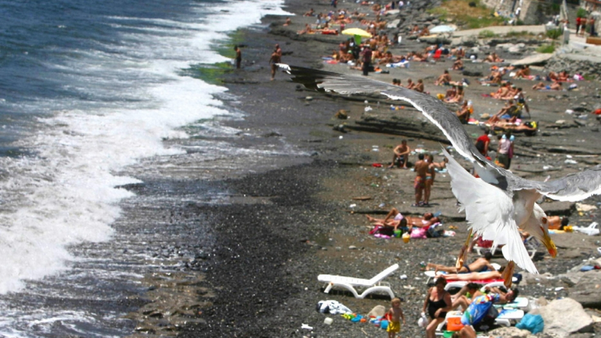 Immagine di Bellezza e ricchezza per tutti: proteggiamo le nostre spiagge