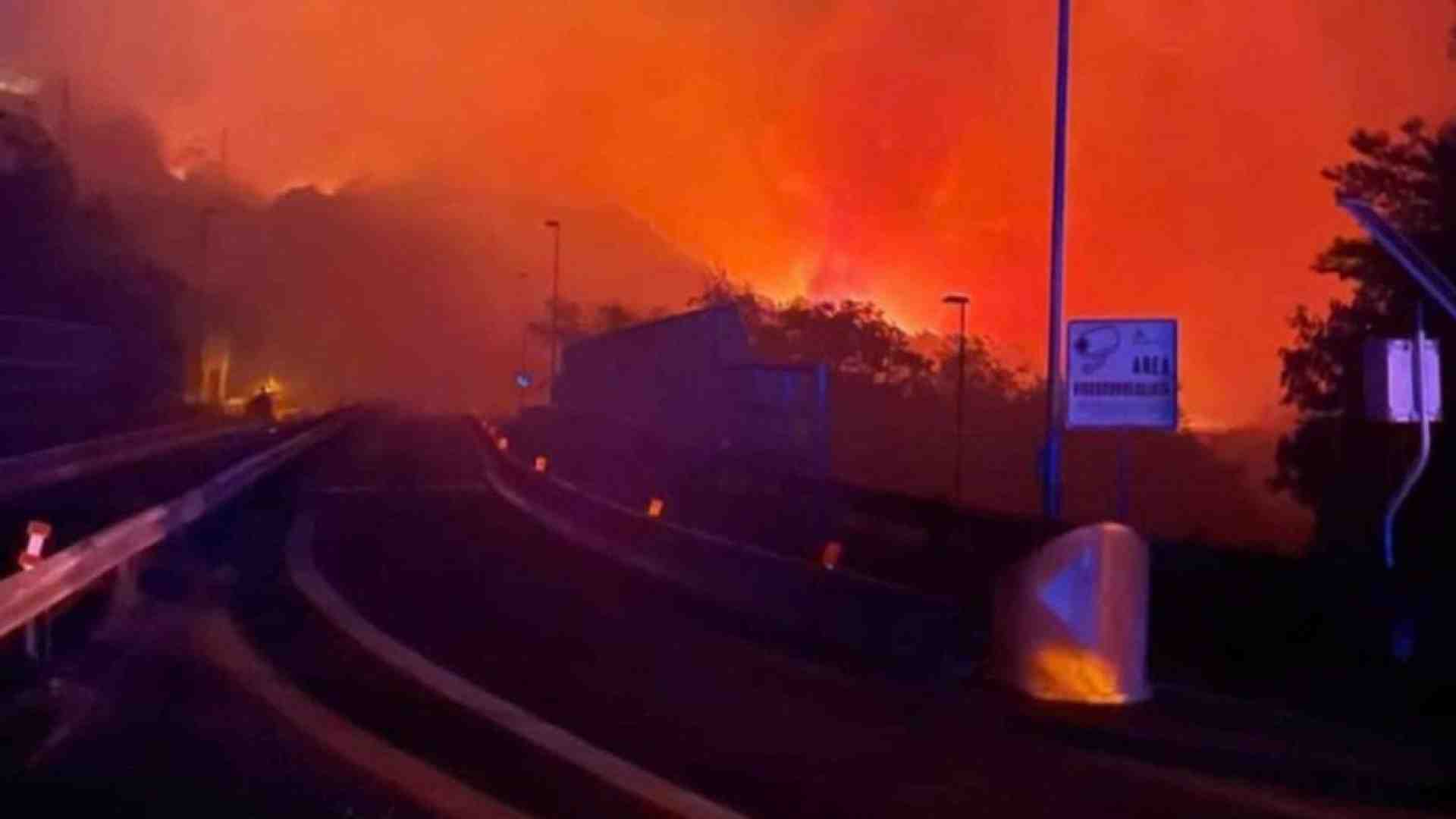 Immagine di Dalla Versilia a Trieste, l'Italia continua a bruciare