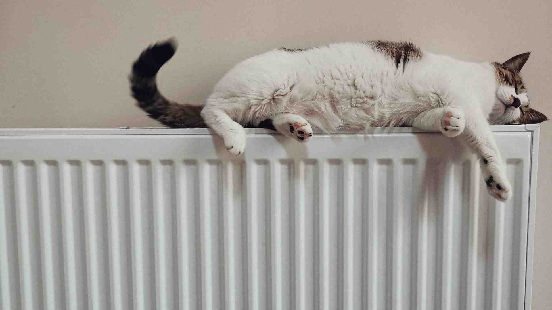 Immagine di Consigli per risparmiare sulla bolletta del gas